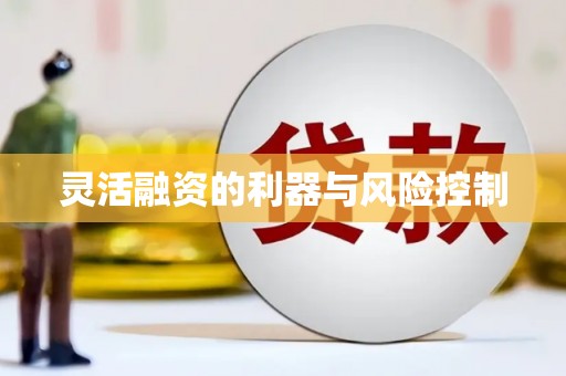 阎良灵活融资的利器与风险控制