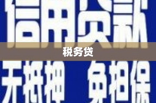 阎良税务贷