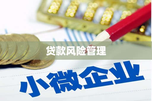 阎良贷款风险管理
