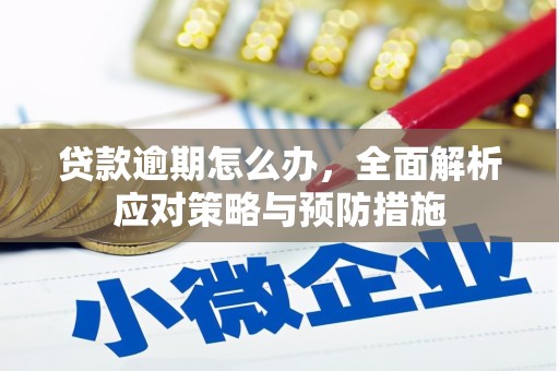 阎良贷款逾期怎么办，全面解析应对策略与预防措施