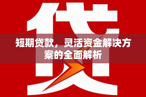 阎良短期贷款，灵活资金解决方案的全面解析