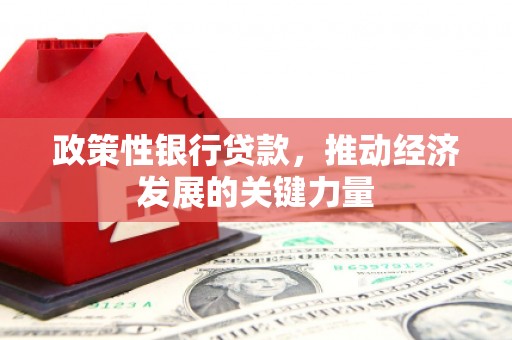 阎良政策性银行贷款，推动经济发展的关键力量