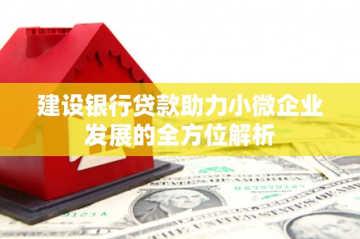 阎良建设银行贷款助力小微企业发展的全方位解析
