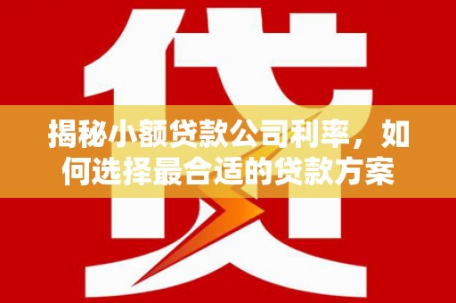 阎良揭秘小额贷款公司利率，如何选择最合适的贷款方案