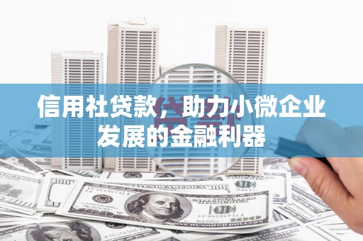 阎良信用社贷款，助力小微企业发展的金融利器