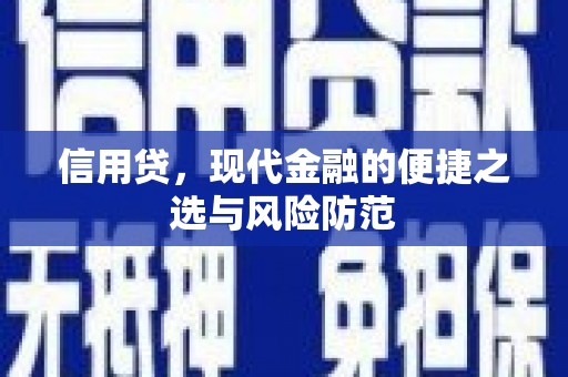 阎良信用贷，现代金融的便捷之选与风险防范