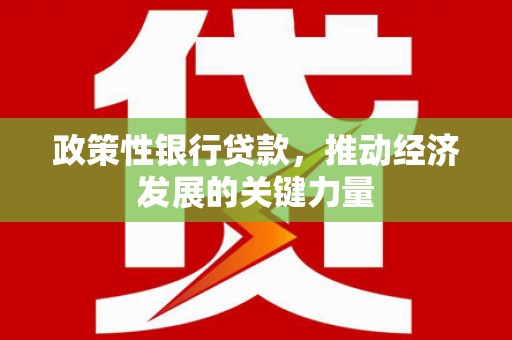 阎良政策性银行贷款，推动经济发展的关键力量
