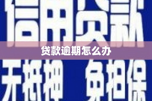 阎良贷款逾期怎么办