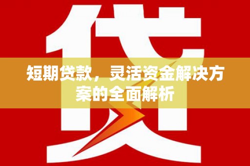 阎良短期贷款，灵活资金解决方案的全面解析