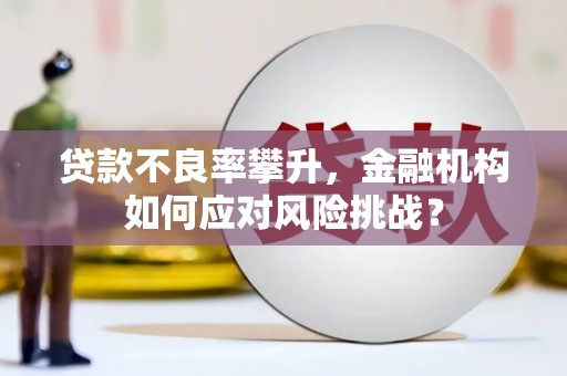阎良贷款不良率攀升，金融机构如何应对风险挑战？