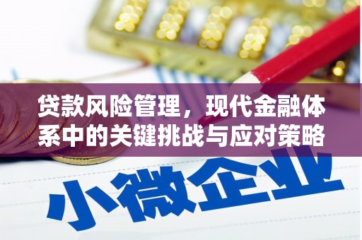 阎良贷款风险管理，现代金融体系中的关键挑战与应对策略