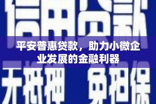 阎良平安普惠贷款，助力小微企业发展的金融利器